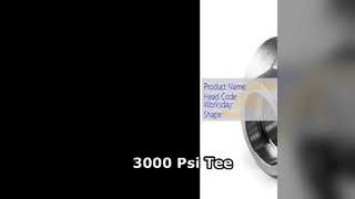 3000 Psi ลดแรงดันสูงอุตสาหกรรม