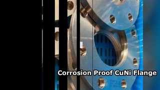 การใช้สารเคมีหน้าแปลน CuNi 70/30