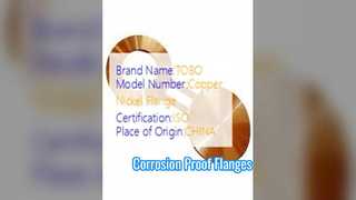 Spectacle Flanges ทองแดงนิกเกิล 90/10 ปลอมแปลง