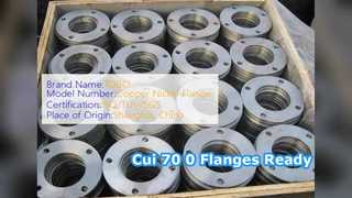 Cui 70 0 SW หน้าแปลนฟอร์จ ASME B6 Cl 0 พร้อมแล้ว
