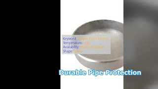 ฝาท้ายท่อเหล็กคาร์บอน WPB