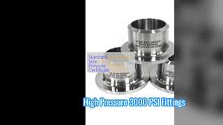 ปลายโครงเหล็กคาร์บอน 3000 PSI Lap Joint Flange Fittings