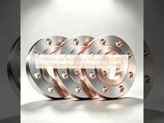 C70600 CuNi Weld Neck Flange โซลูชันทางทะเลแรงดันสูง