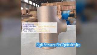 เหล็กดัดลดที UL FM รายการข้อต่อท่อ 300PSI