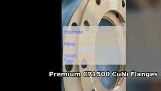 C71500 CuNi 70 30 หน้าแปลนคอเชื่อมคุณภาพปลอมแปลงระดับพรีเมี่ยม